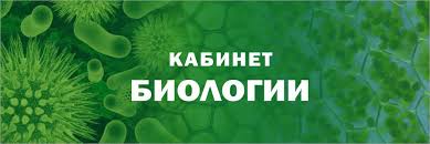 Кабинет биологии Кабинет биологии